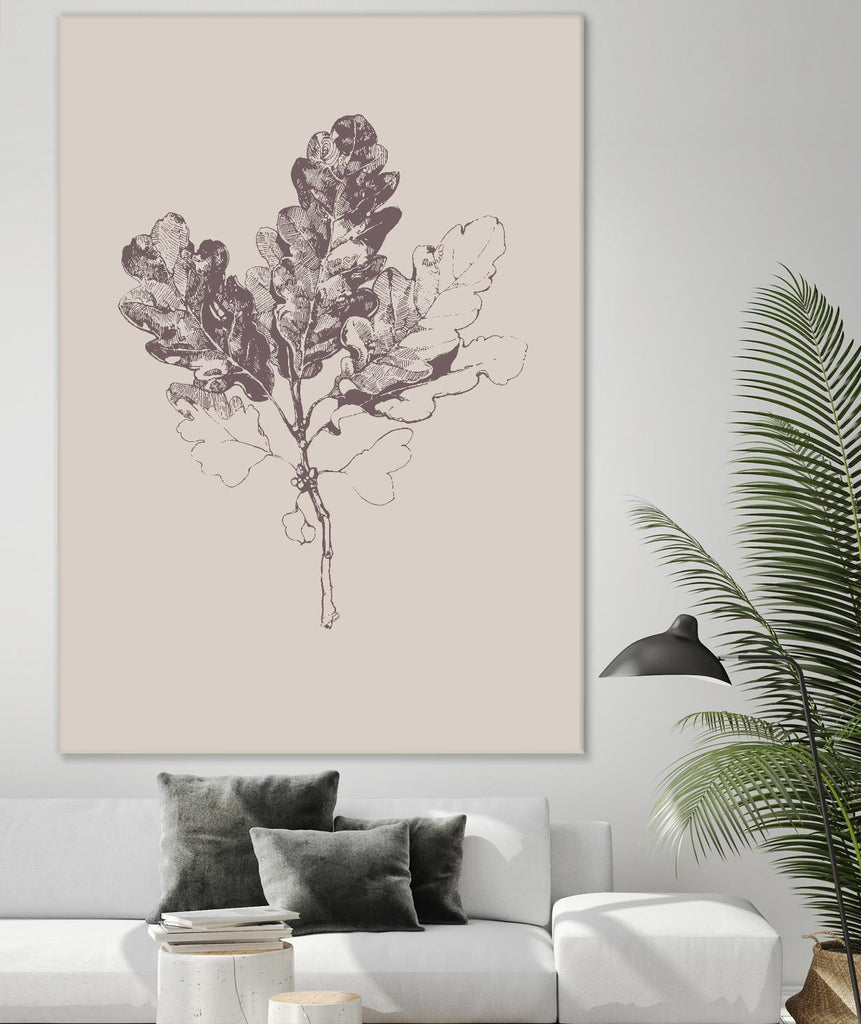 Botanica 3 par Design Fabrikken sur GIANT ART - floral rose/nature morte, botanique, feuilles