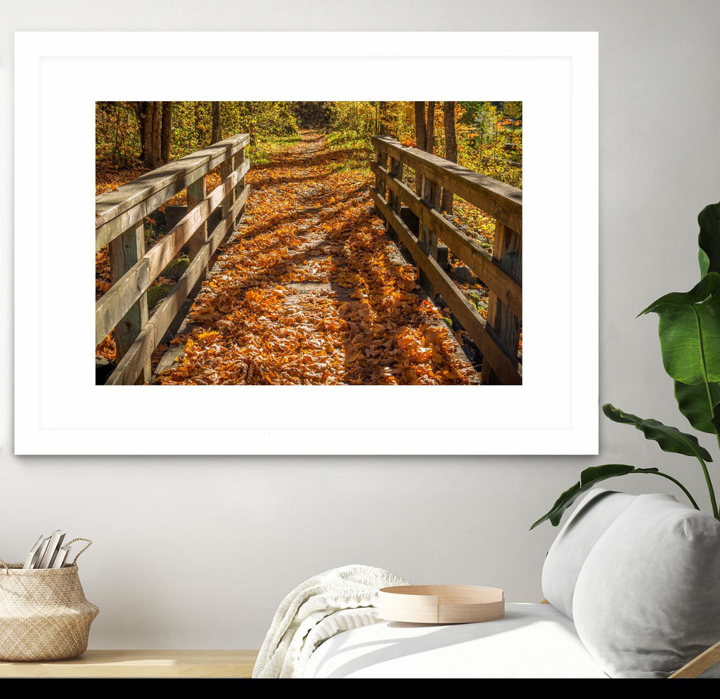 Fall On The Footbridge par Tim Oldford sur GIANT ART - photographie multicolore ; paysages
