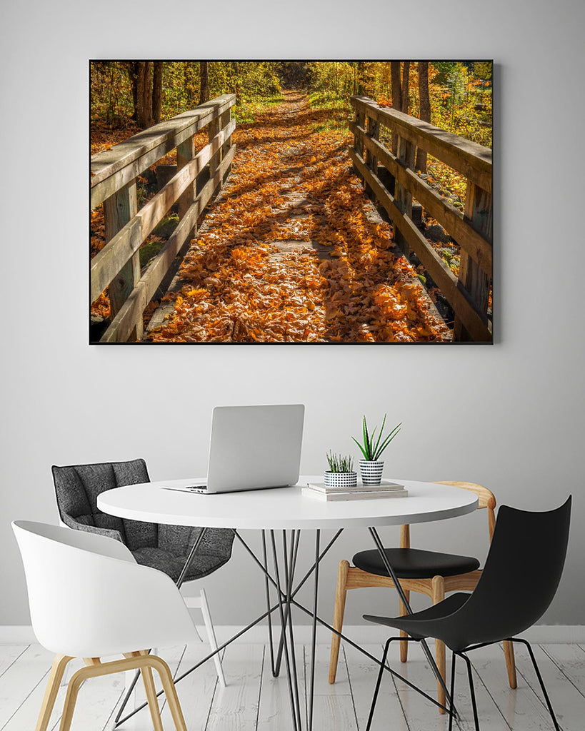 Fall On The Footbridge par Tim Oldford sur GIANT ART - photographie multicolore ; paysages