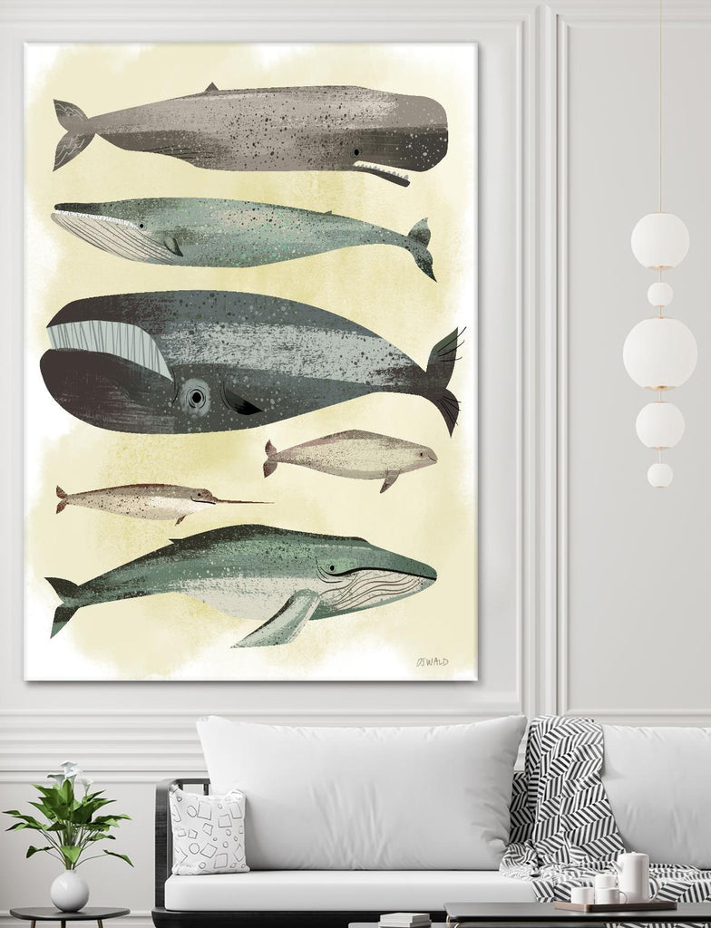 Whales by Pete Oswald on GIANT ART - multicolor animals