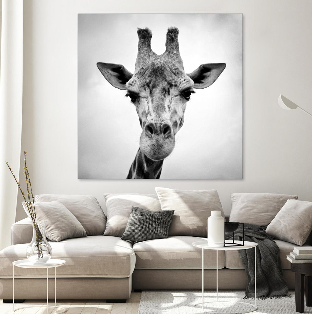 Girafe par PhotoINC Studio sur GIANT ART - animaux blancs