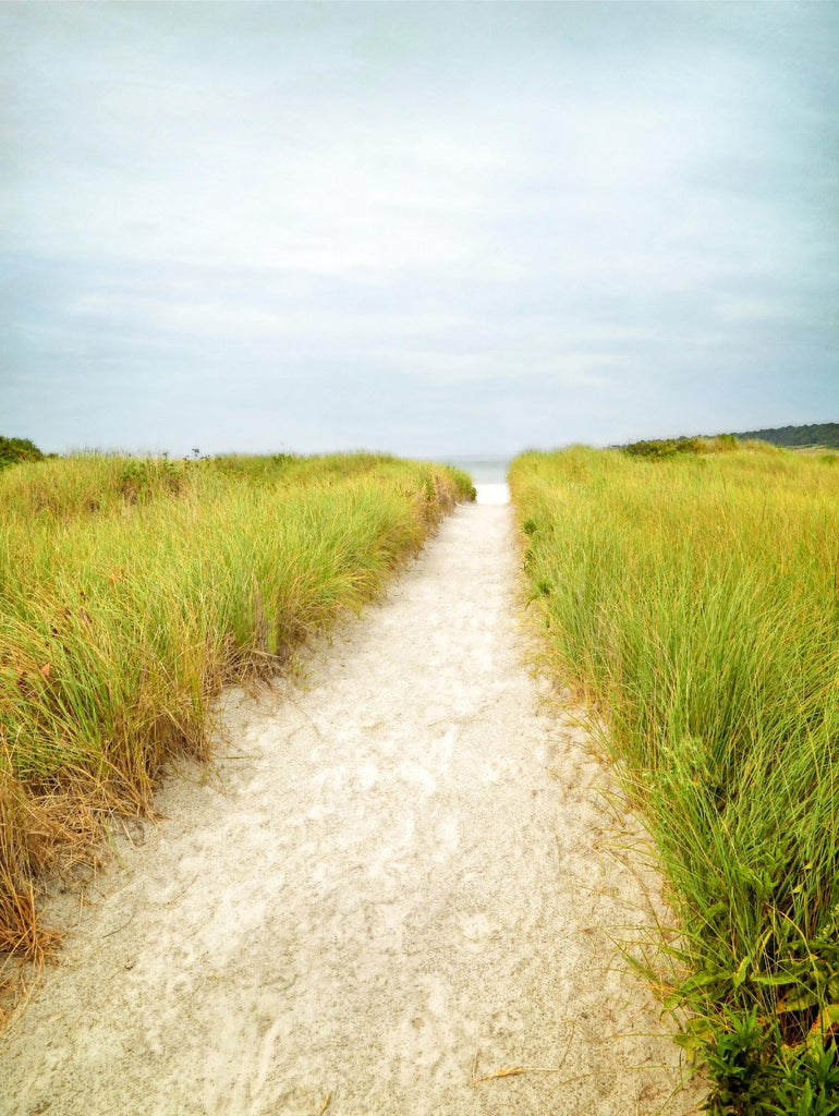 Beach Trail by Brooke T. Ryan on GIANT ART - multi coastal, landscapes, photography, beaches