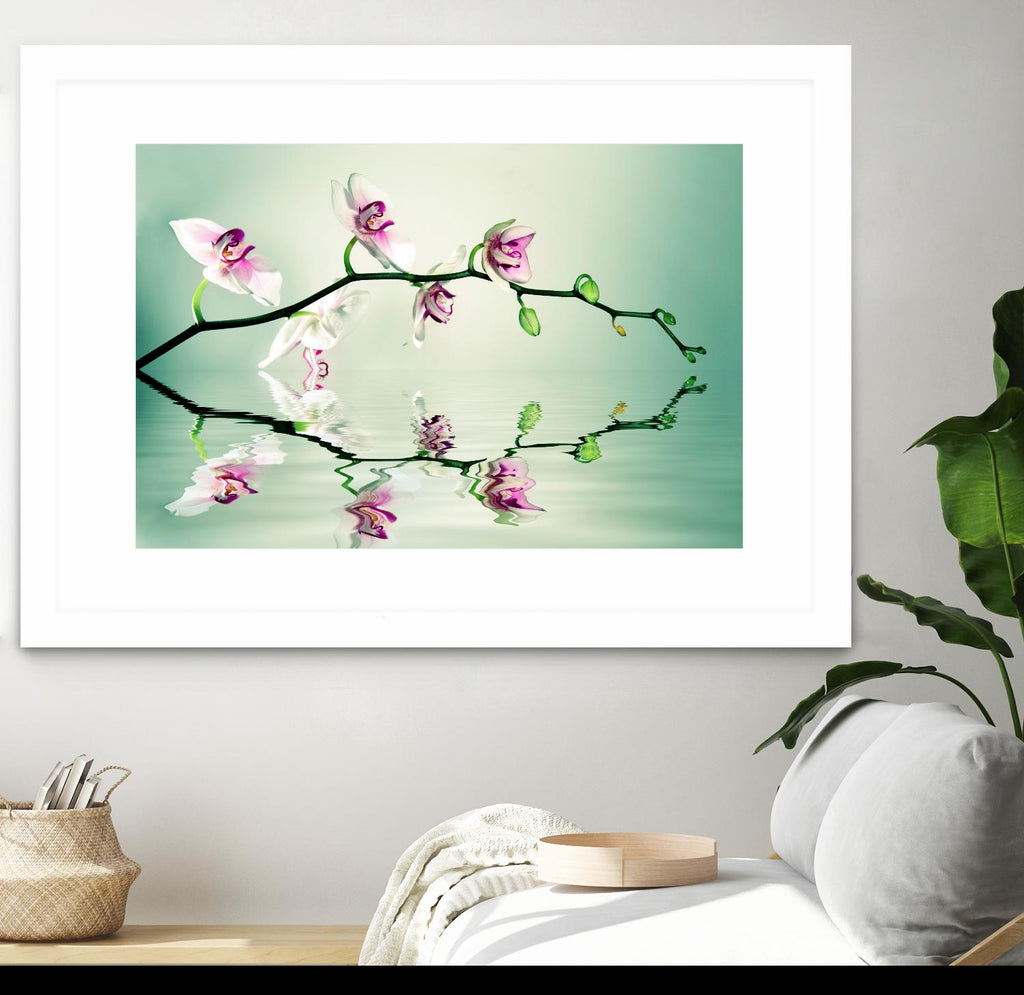 Zen par Lee Sie sur GIANT ART - photographie multicolore ; floral/still life