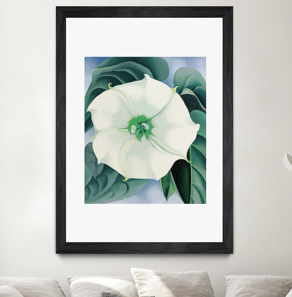 Jimson Weed white Flower, No. 1, 1032 by Georgia O'keeffe on GIANT ART - masters