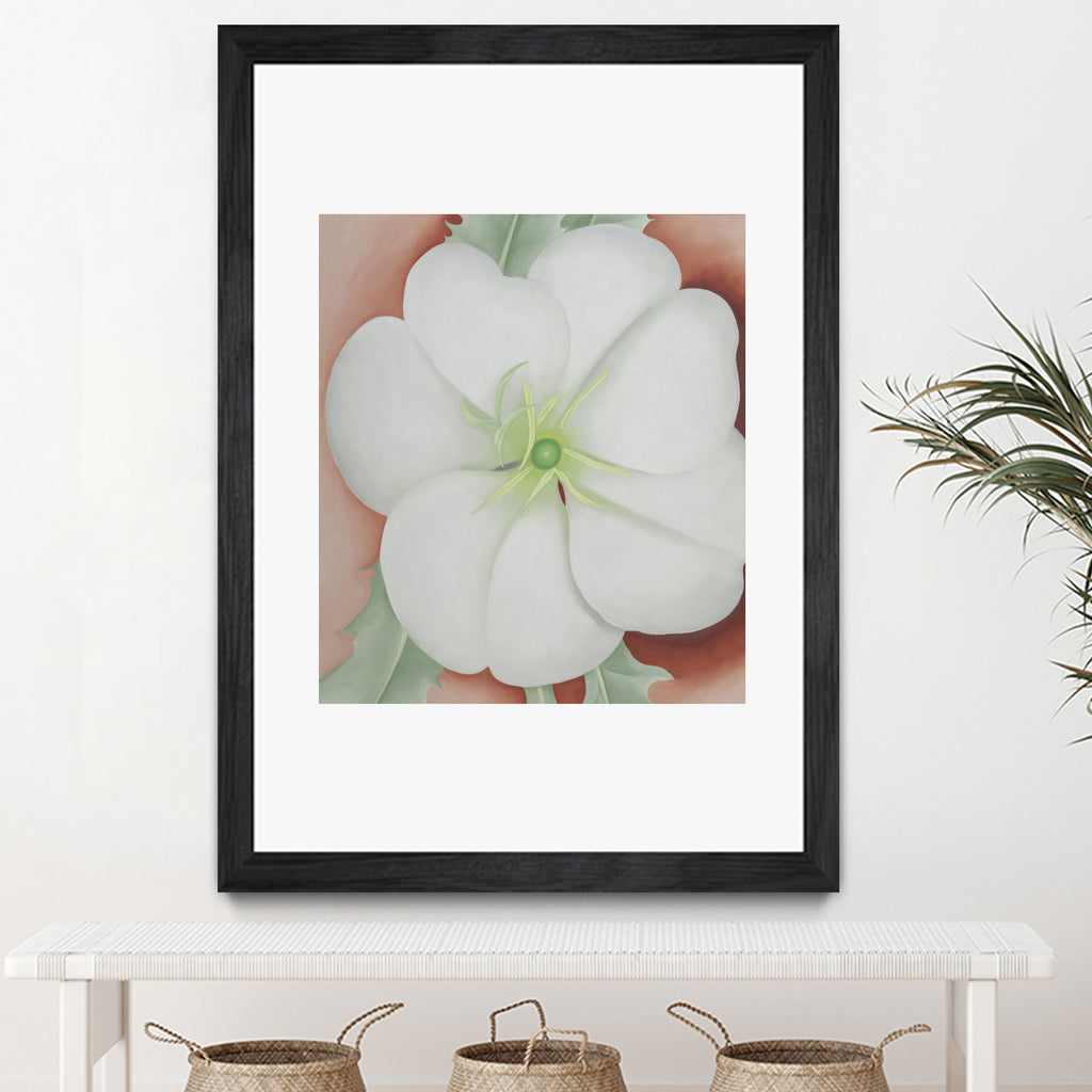 White Flower on Red Earth, No.1, 1943 by Georgia  O'keeffe on GIANT ART - botanical