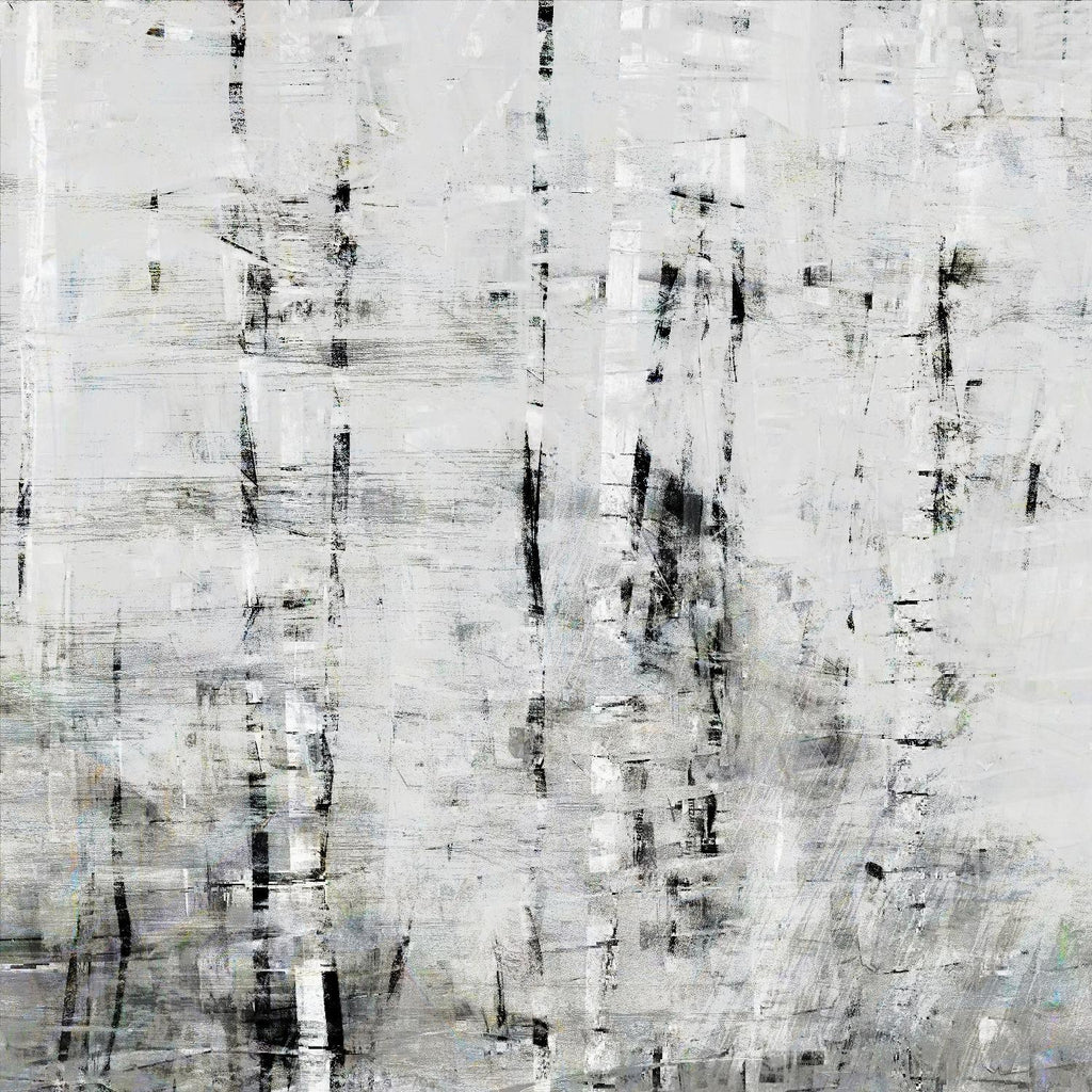 Birch Perspective II by John Bingham on GIANT ART - grey Abstract