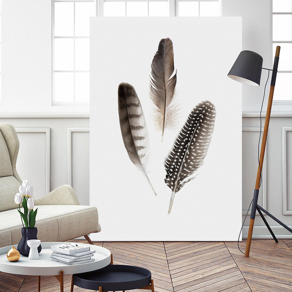 Feathers I par PI Studio sur GIANT ART - animaux bruns