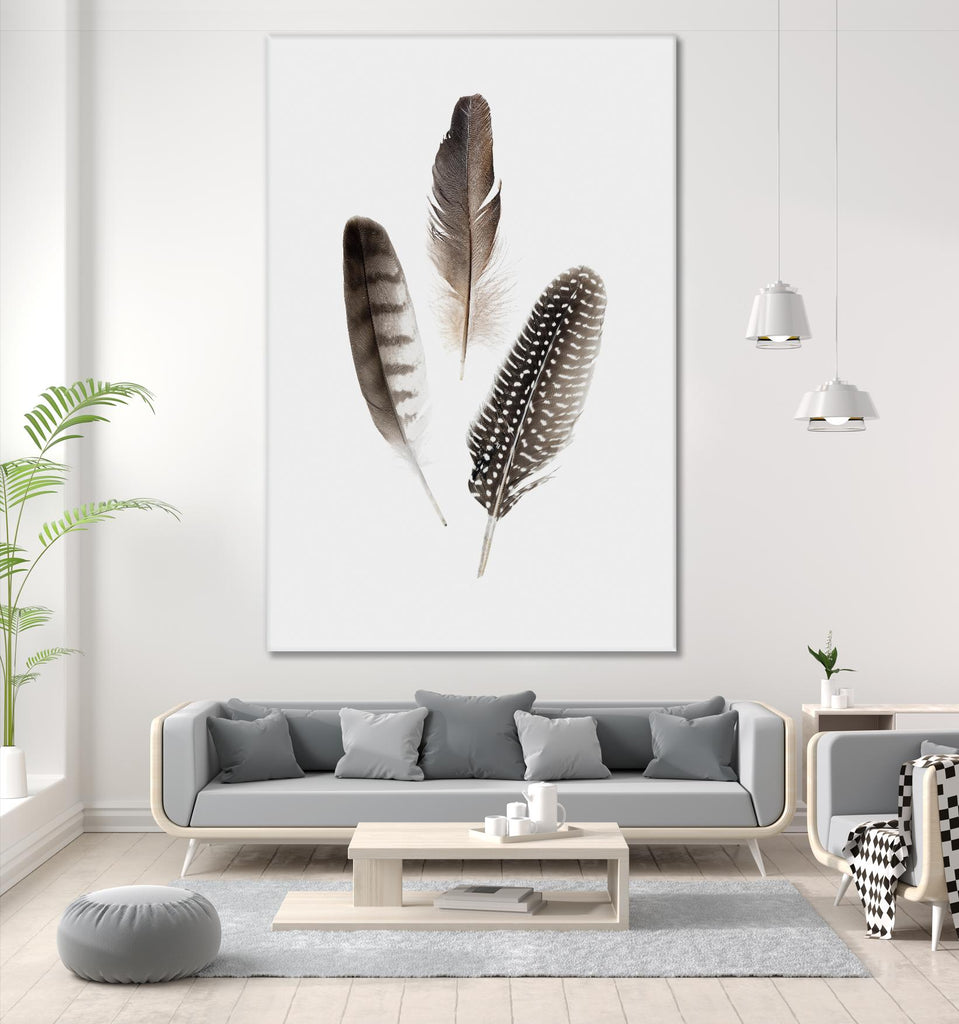 Feathers I par PI Studio sur GIANT ART - animaux bruns