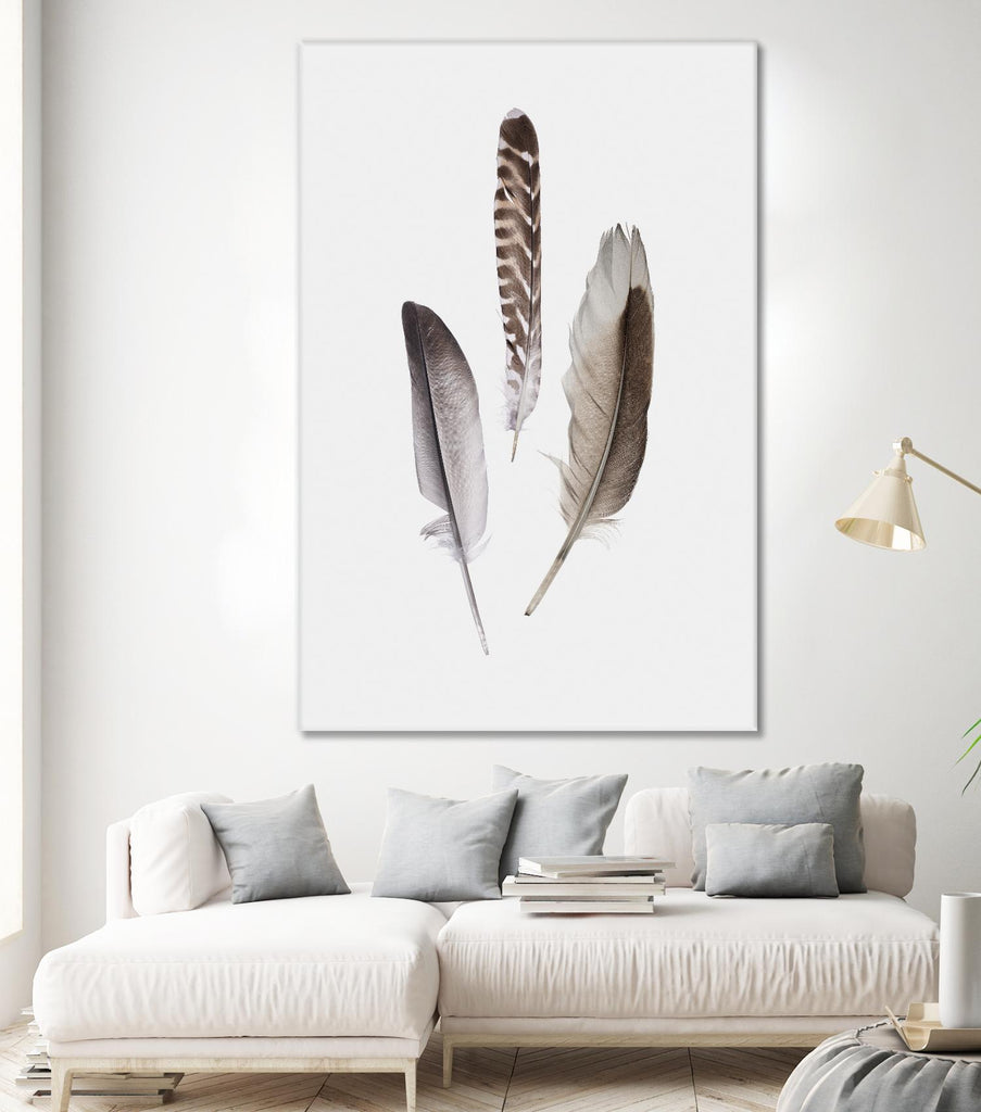 Feathers III par PI Studio sur GIANT ART - animaux bruns