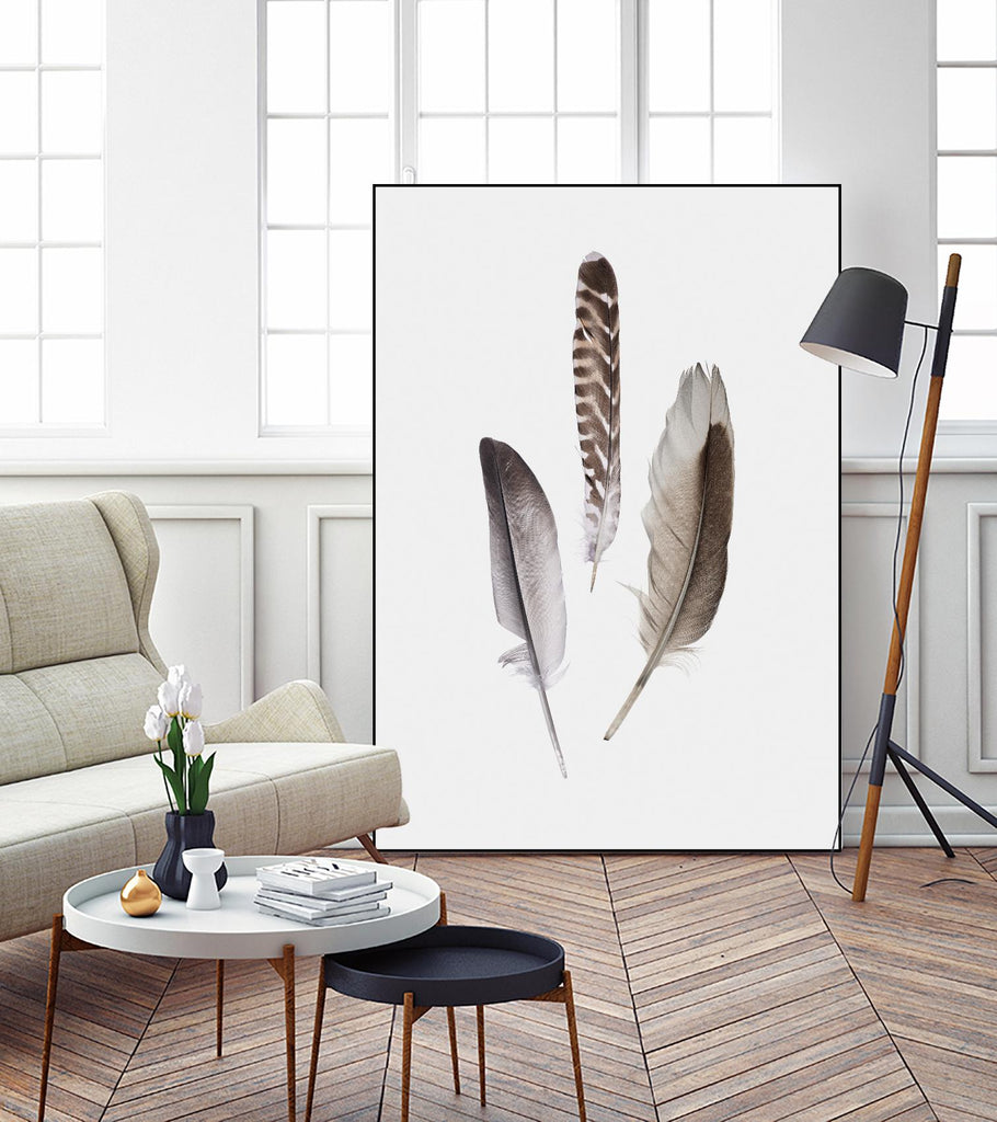 Feathers III par PI Studio sur GIANT ART - animaux bruns
