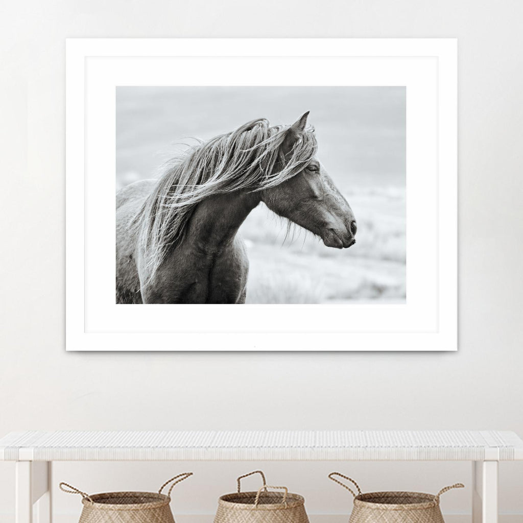 The Fell par Esther Marie sur GIANT ART - animaux blancs cheval