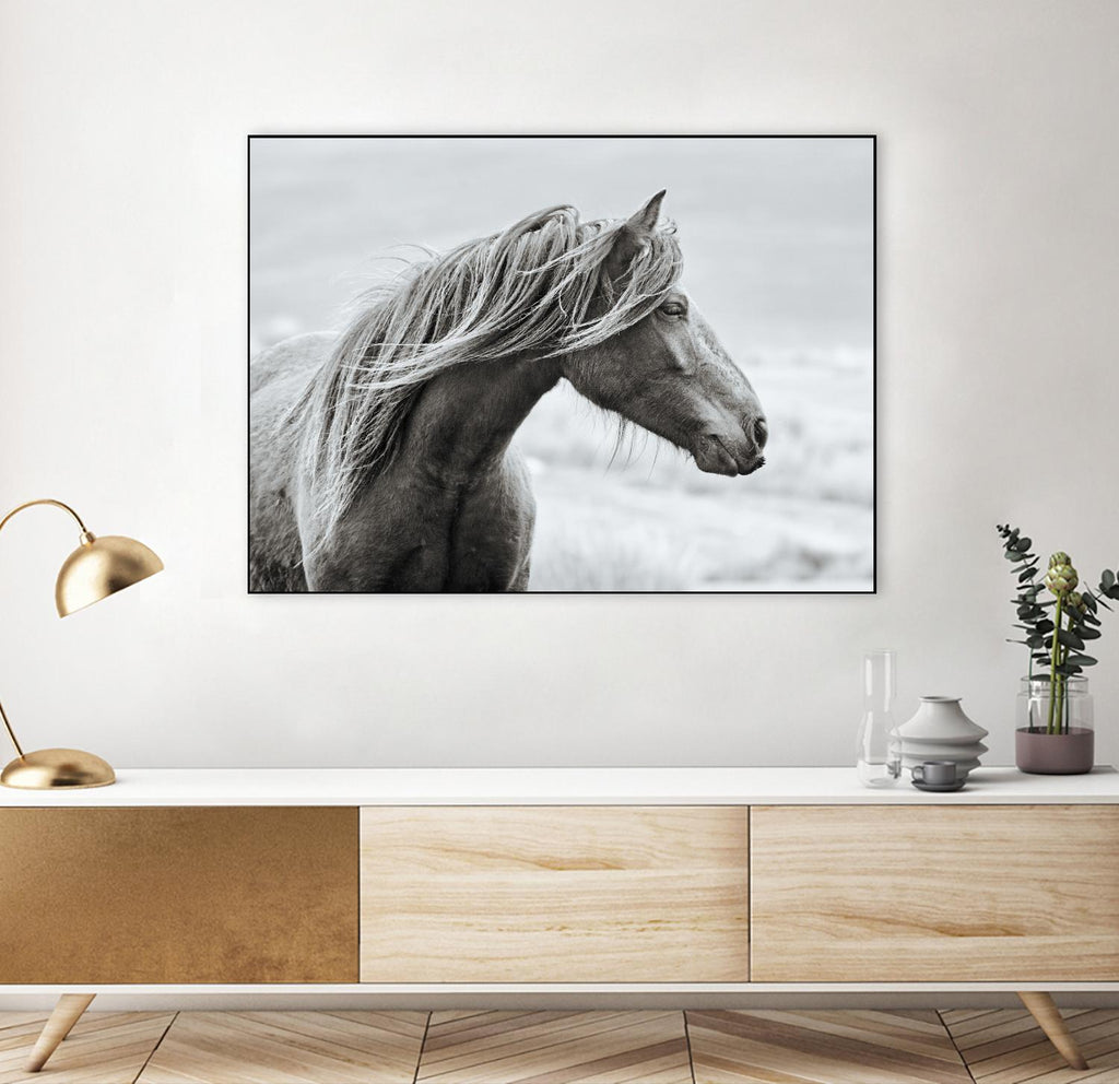 The Fell par Esther Marie sur GIANT ART - animaux blancs cheval