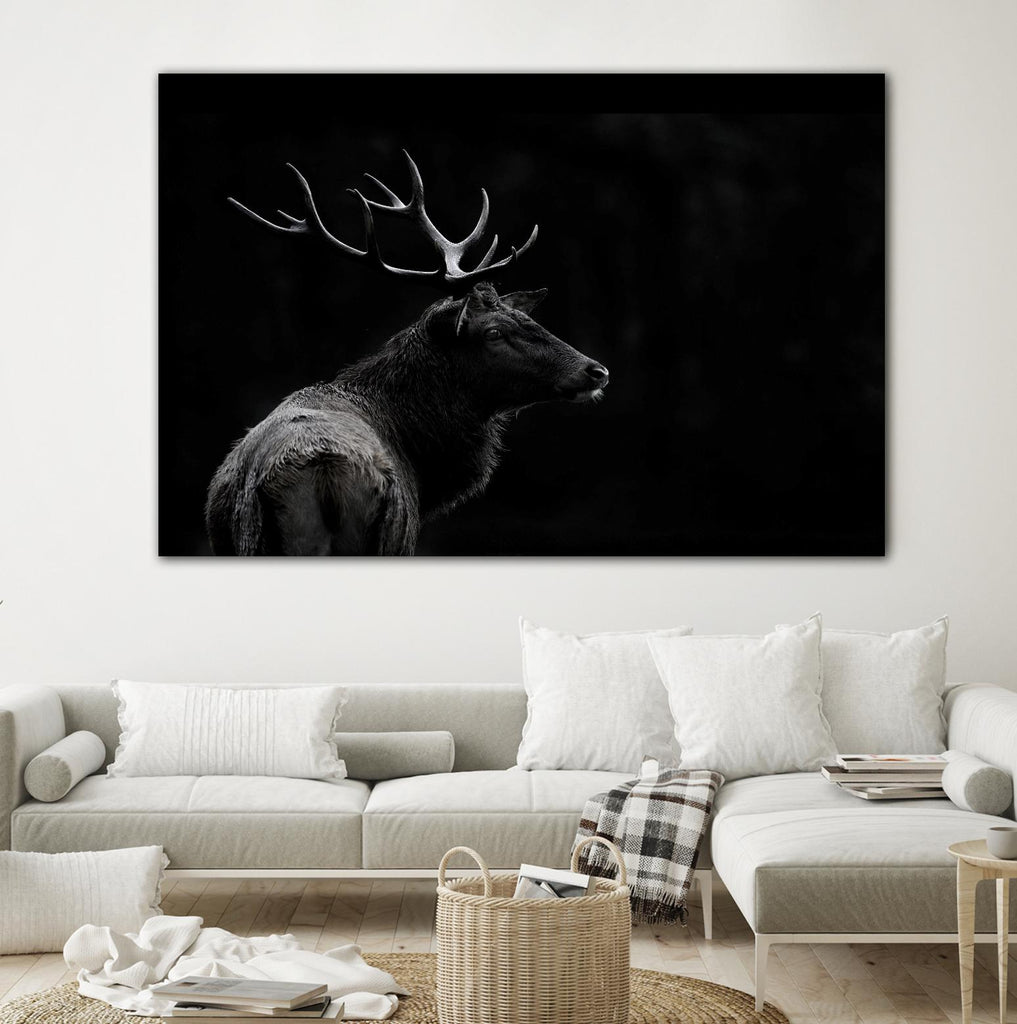 The Deer Soul par PEI 1X sur GIANT ART - cerf blanc noir et blanc