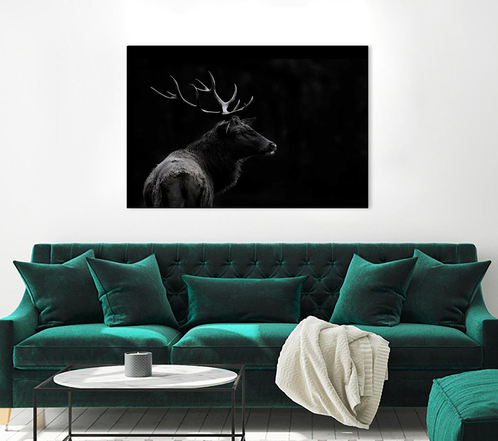 The Deer Soul par PEI 1X sur GIANT ART - cerf blanc noir et blanc