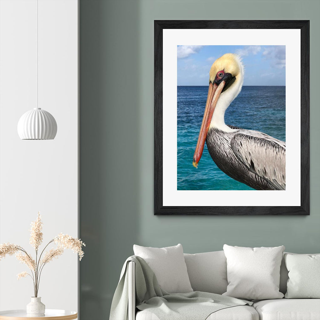 Pelican par Julie DeRice sur GIANT ART - photographie côtière