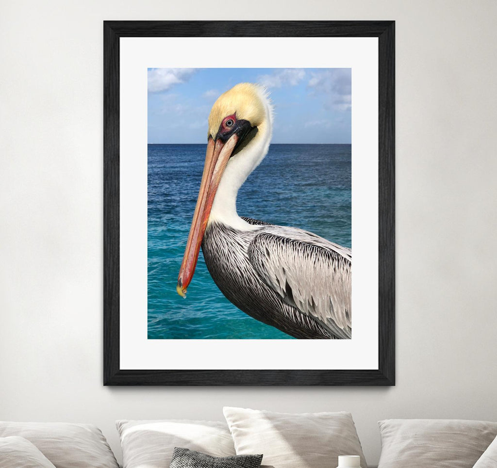 Pelican par Julie DeRice sur GIANT ART - photographie côtière