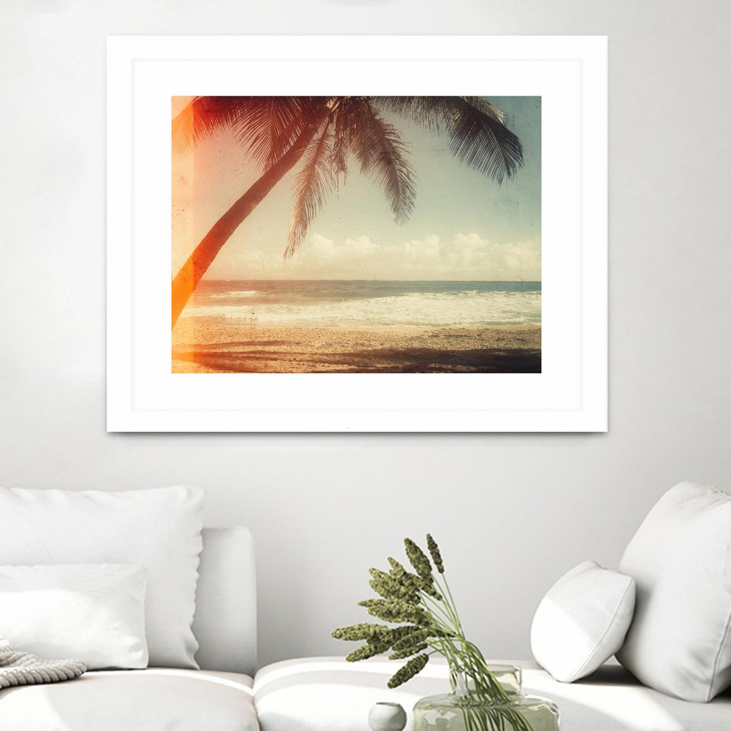 Single Palm par Acosta sur GIANT ART - multi photographie