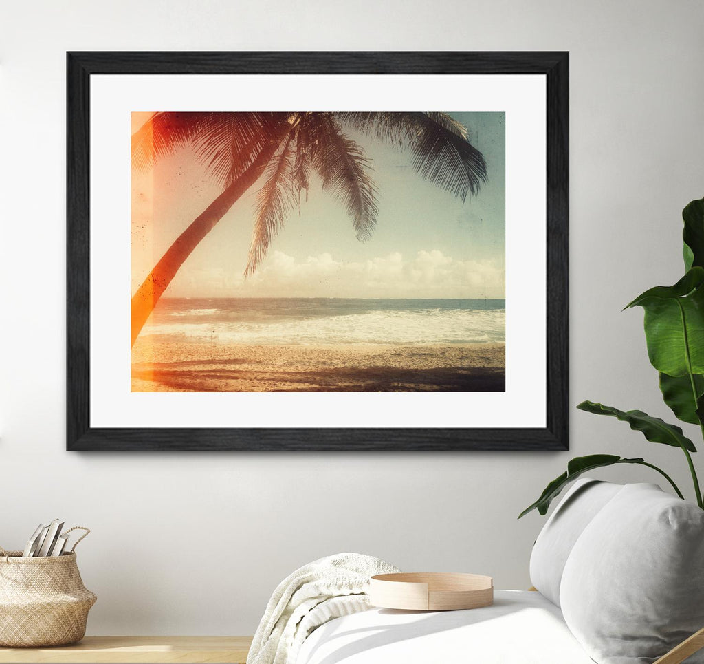 Single Palm par Acosta sur GIANT ART - multi photographie
