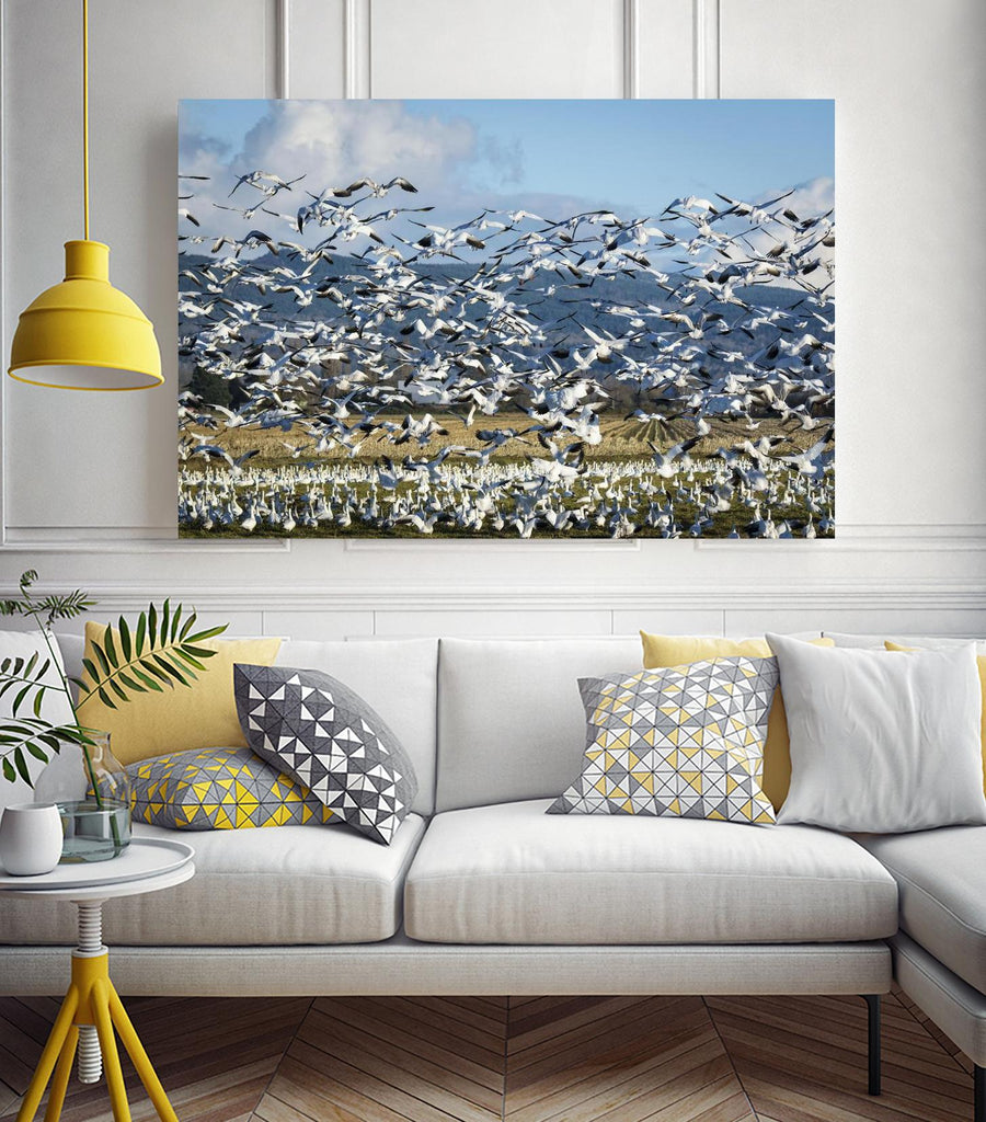 Takeoff by Nancy Crowell  sur GIANT ART - paysage beige