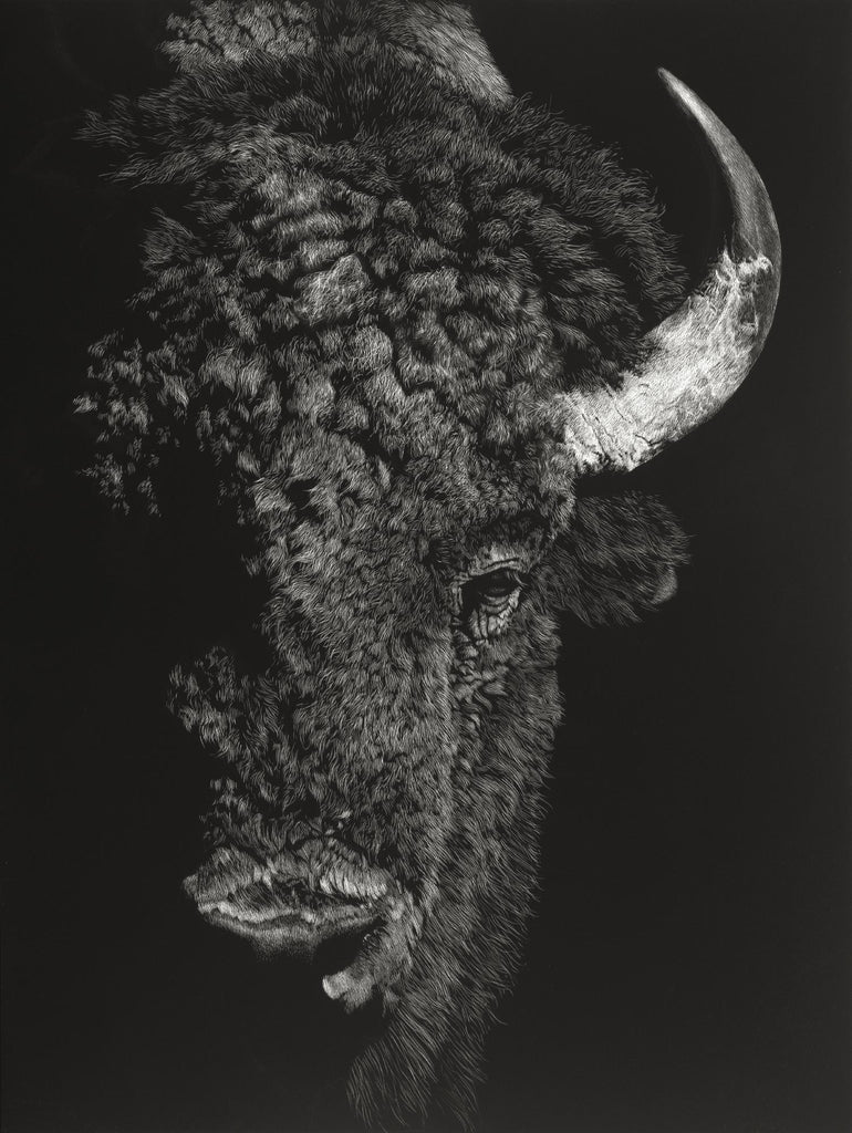 Black Glimpse I de Julie T. Chapman sur GIANT ART - animaux