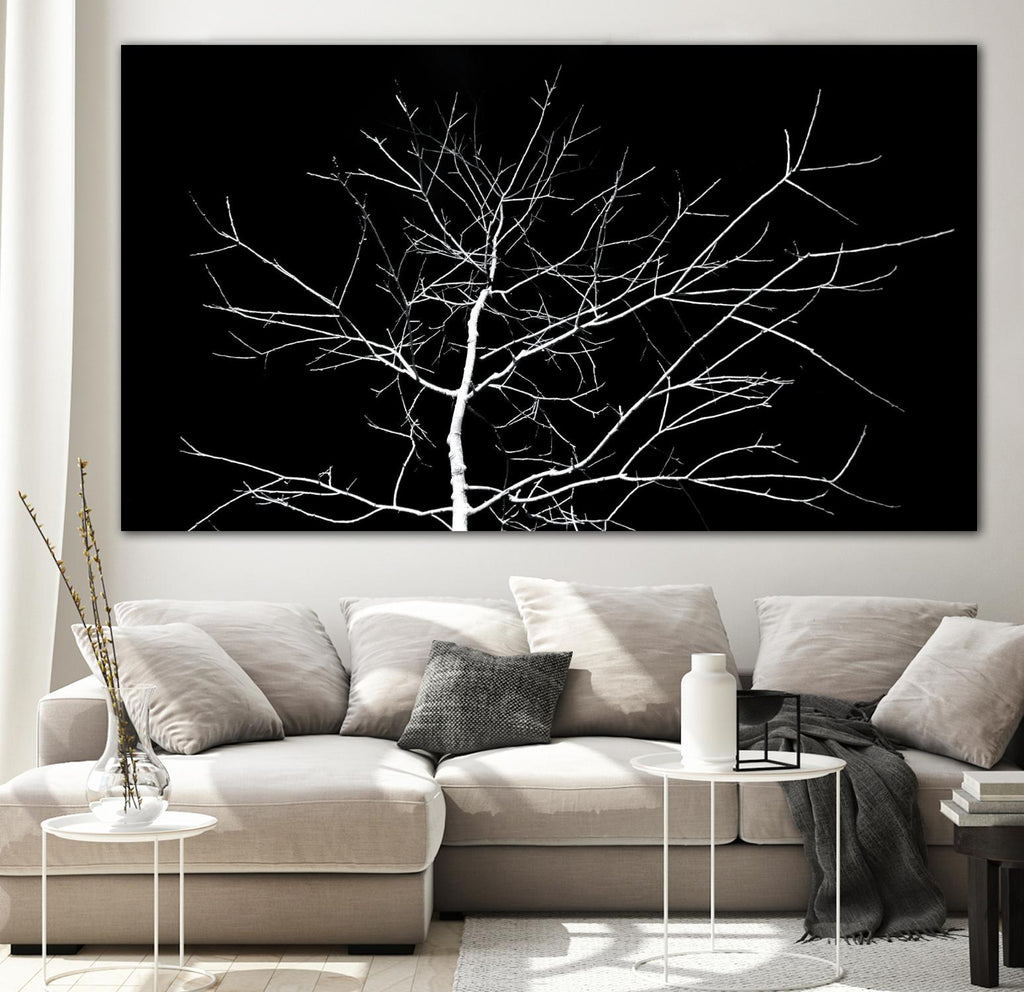 Arbre blanc par Pexels sur GIANT ART - arbres blancs