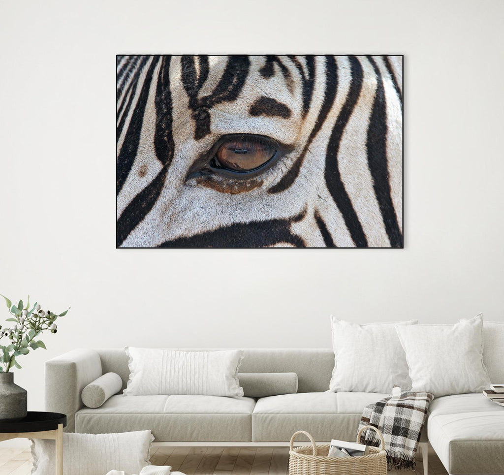 Zebra par Pexels sur GIANT ART - animaux blancs