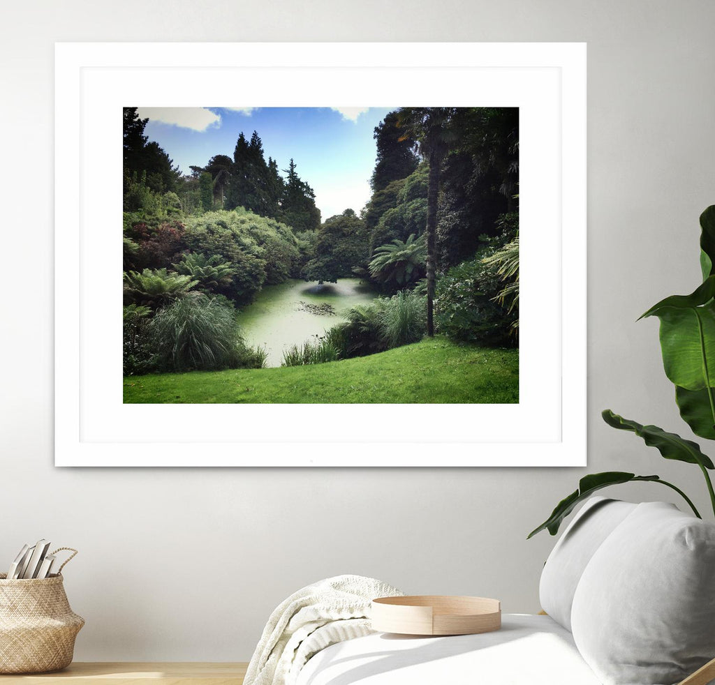 Swamp by Pexels on GIANT ART - green landscape