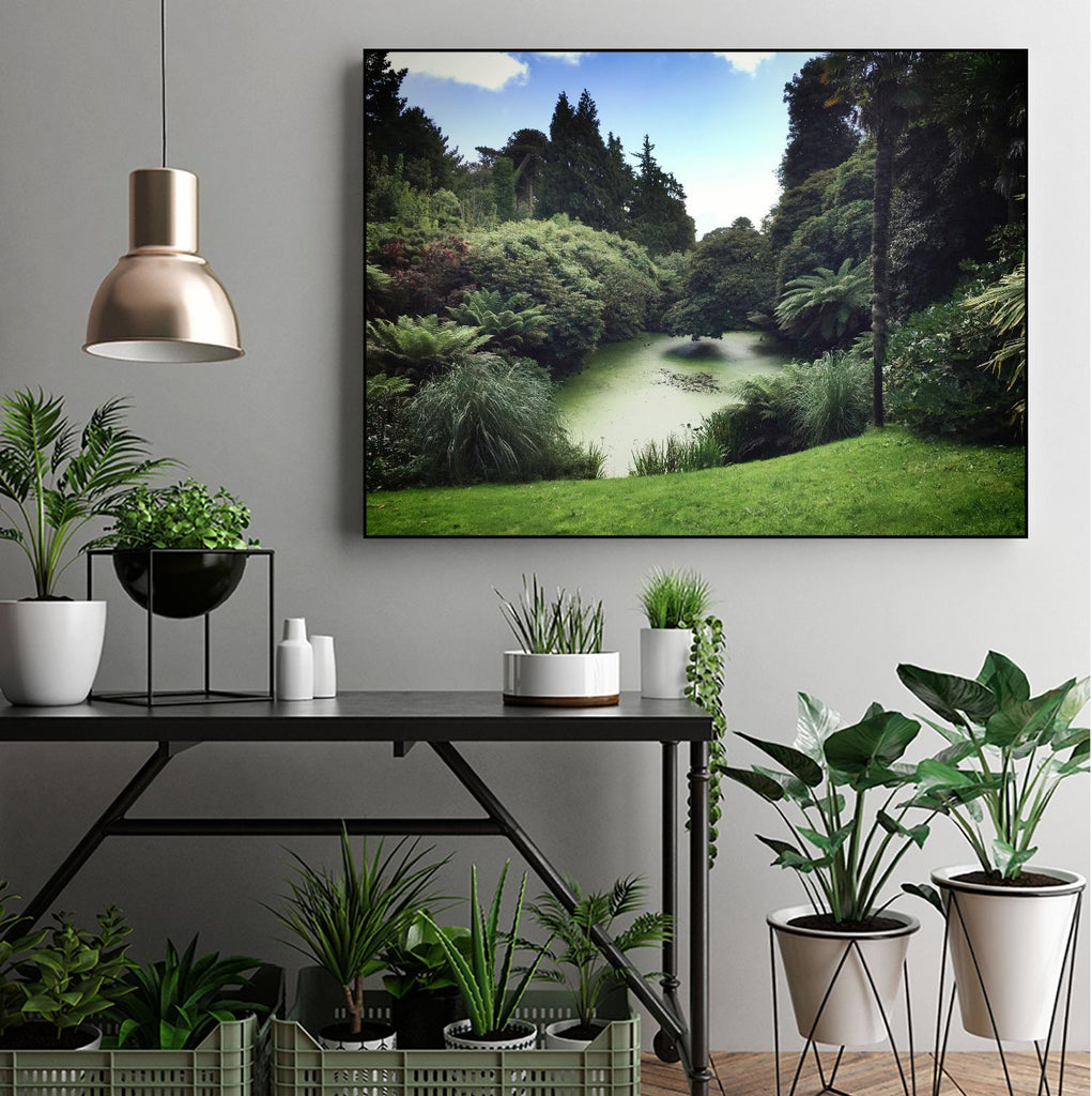 Swamp par Pexels sur GIANT ART - paysage noir