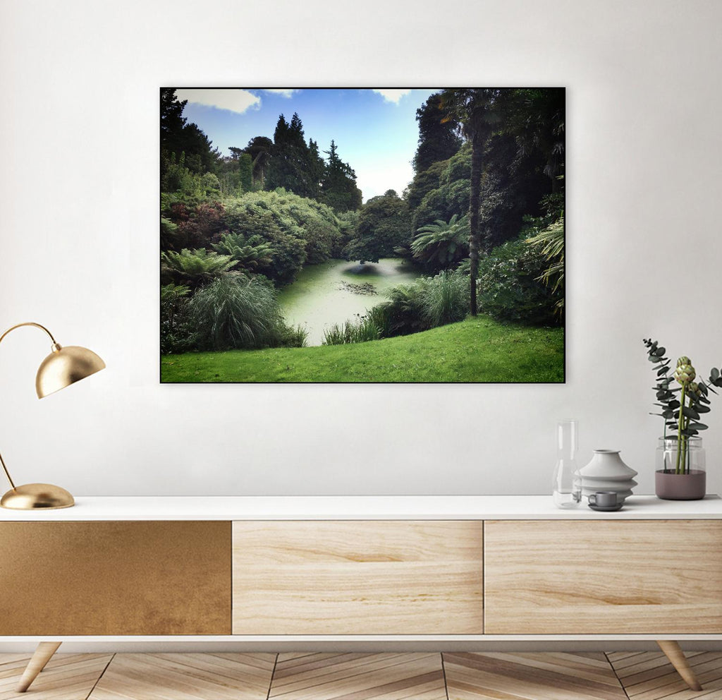 Swamp par Pexels sur GIANT ART - paysage noir